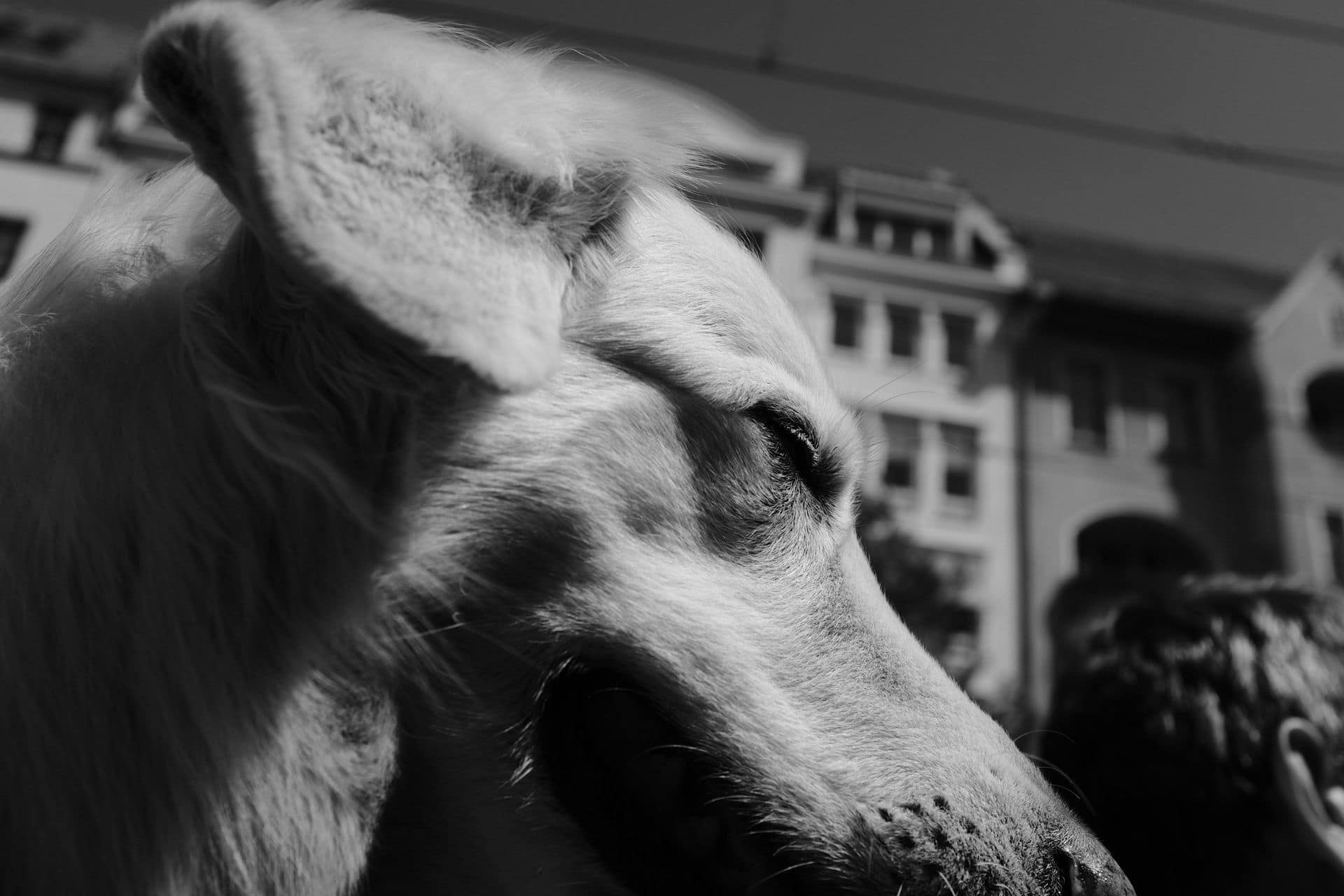 Gegenwind DSCF4546_27_10_2022_1920_1280 Gegenwind